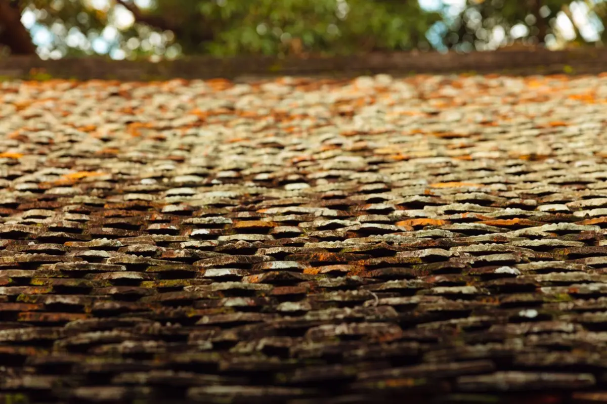 Aging shingle roof with moss growth and granule loss in Santa Fe, NM